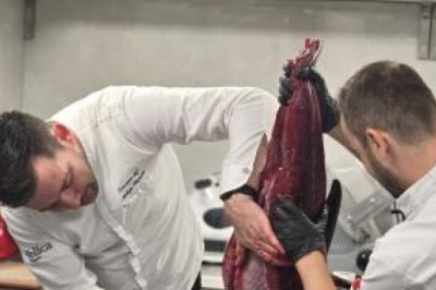 Trebam osoblje u kuhinji,s iskustvom - pomoćni kuhar, samostalni kuhar, perač posuđa, Trogir, Hotel Marinus